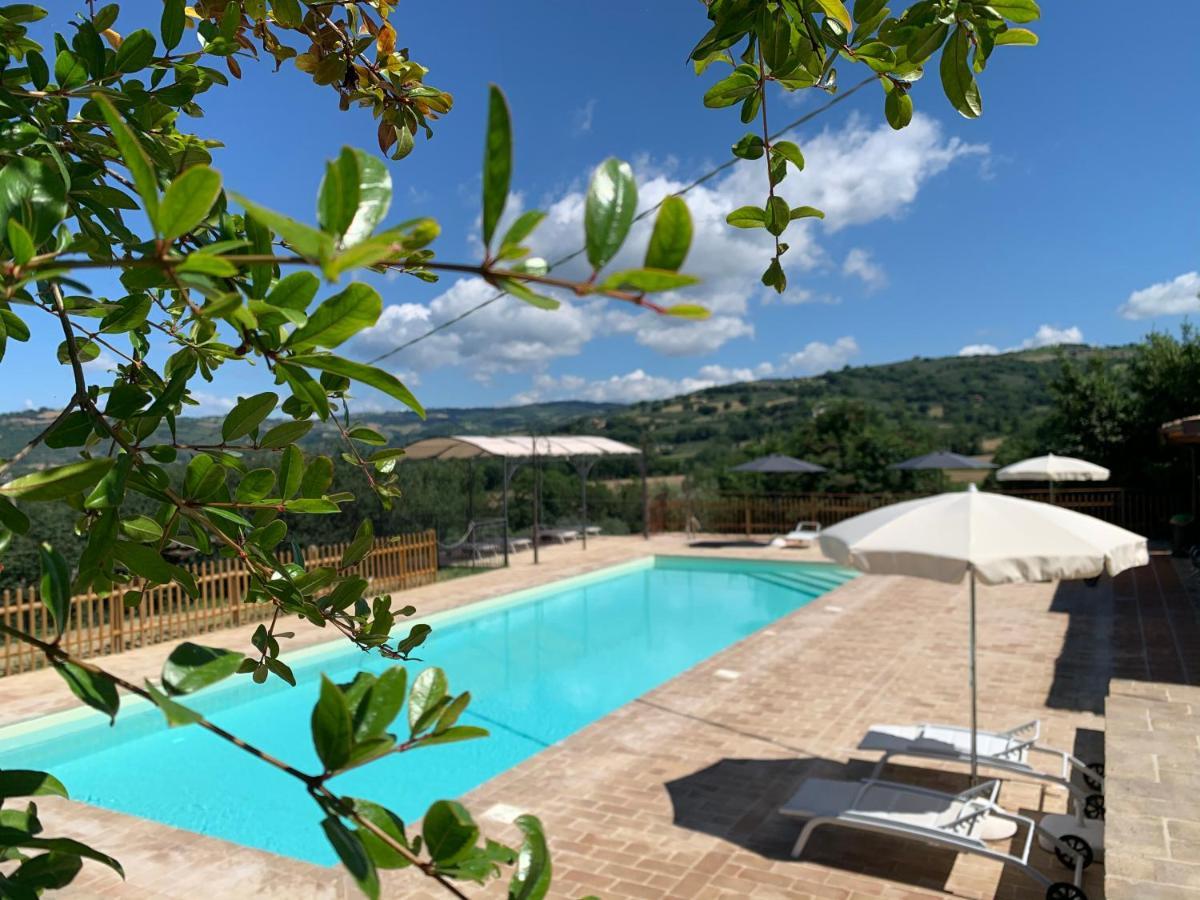 Agriturismo La Palazzetta Di Ассізі Екстер'єр фото