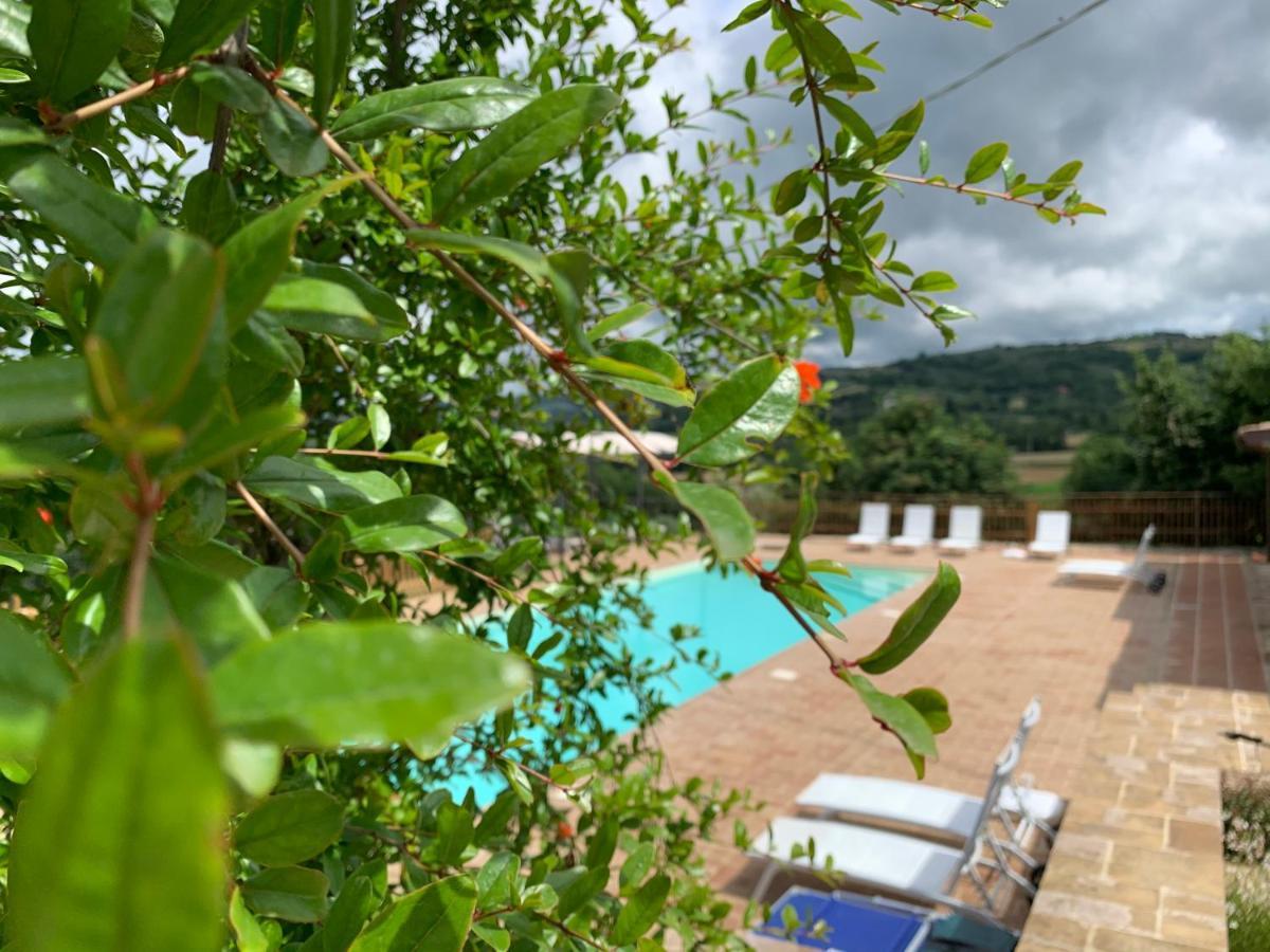 Agriturismo La Palazzetta Di Ассізі Екстер'єр фото